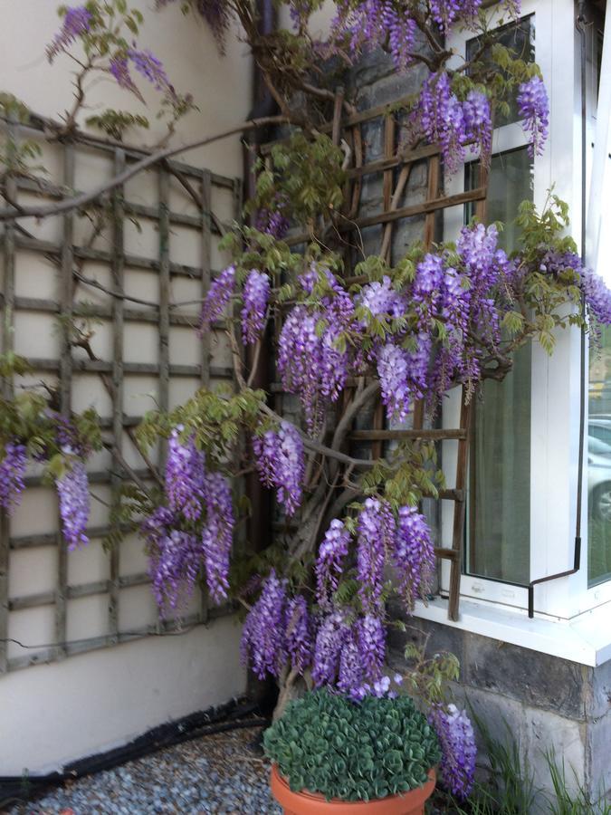 Hotel Vezzano Bagian luar foto